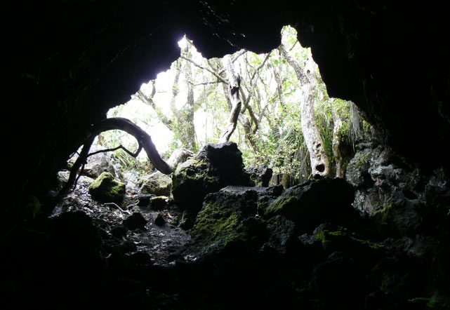 Rangitoto Island - Lava caves
