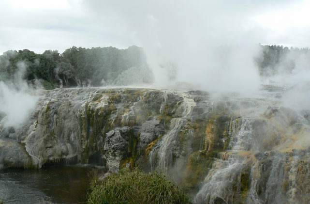 Rotorua - Geyser à  Te Puia