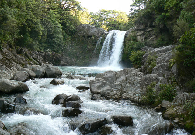 Tawhai Falls - Nouvelle-Zélande