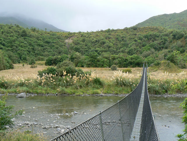 Nouvelle-Zélande - Otaki Gorge - Swing bridge