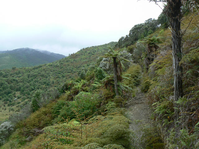 Nouvelle-Zélande - Otaki Gorge