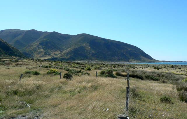 collines et la mer à Wainuiomata