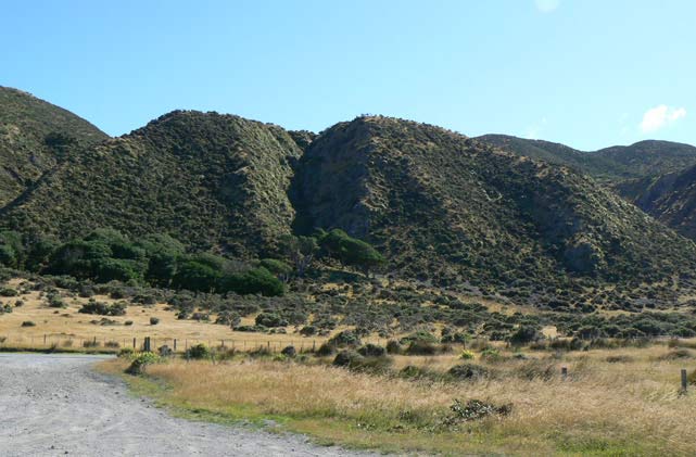 Collines du côté de Wainuiomata