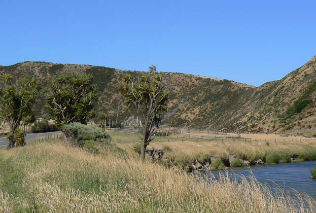 Sur le chemin de Wainuiomata, direction Wellington