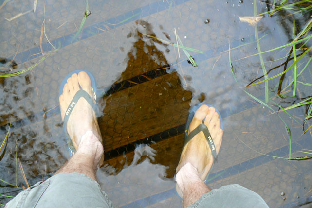 Hapuka Estuary : mes pieds sous l'eau