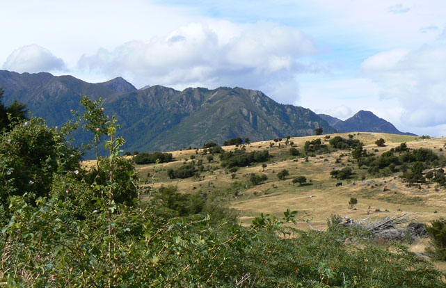 collines proches de Lake Hawea et Lake Wanaka