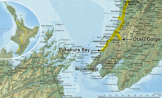 Nouvelle-Zélande - Pukekura Bay