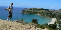 waiheke-island