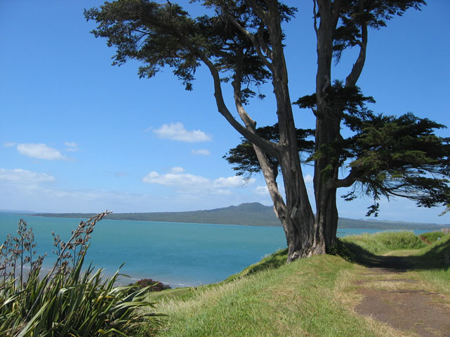 Les Rangitoto islands dans le fond