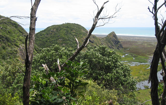 Waitakere