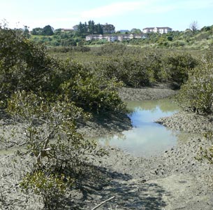 Tuff Crater