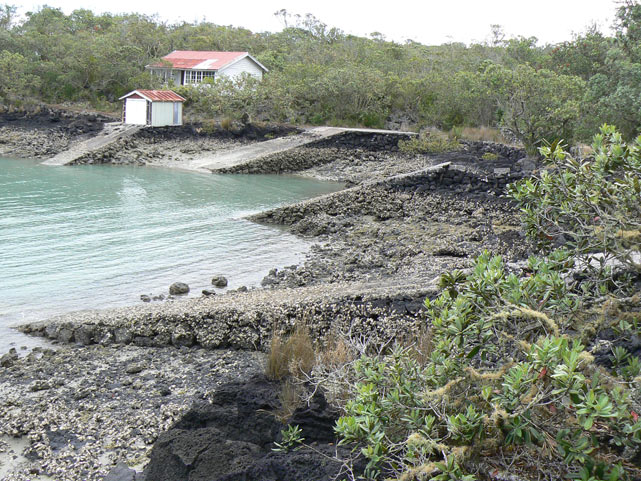 Rangitoto Island - Les cabanes de 1920 au bord de l'eau