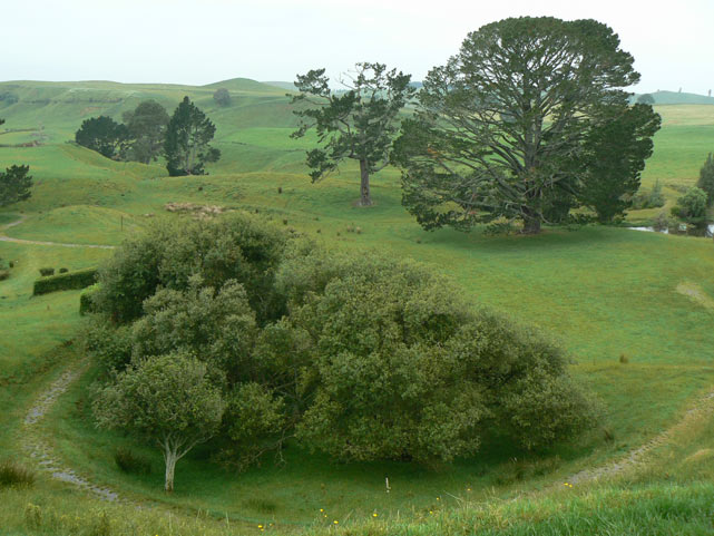 Matamata - Hobbiton - Party Tree