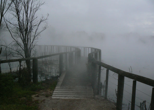 Rotorua