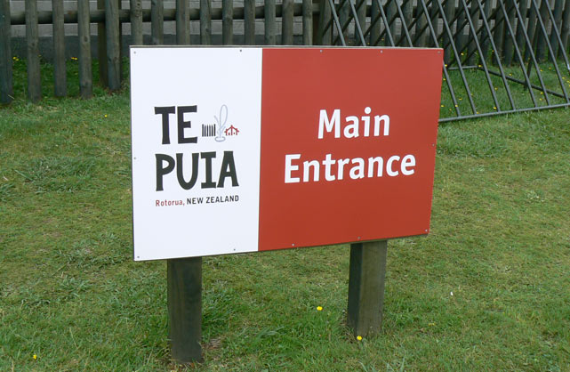 Te Puia à Rotorua