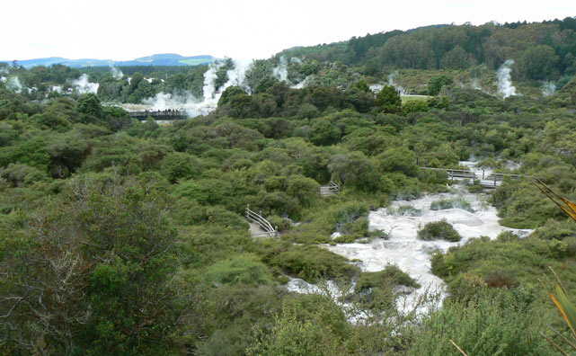 Rotorua - Te Puia