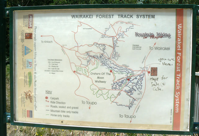 Wairake Forest - Craters Of The Moon - Taupo - Nouvelle-Zélande