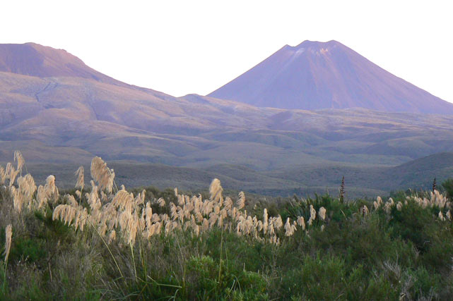 Nouvelle-Zélande - Mt Ngauruhoe - La Montagne du Destin (Mt Doom)