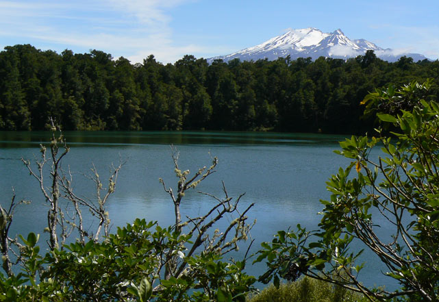 Nouvelle-Zélande - Rotokura Walk