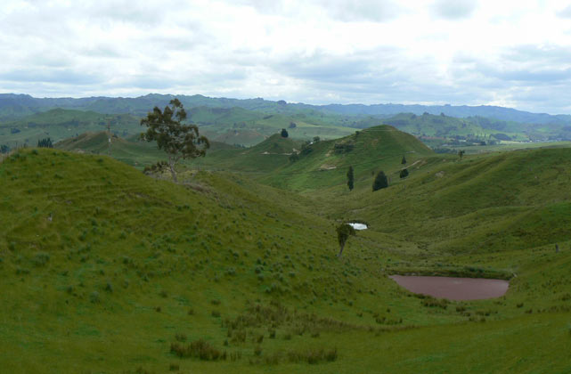 Nouvelle-Zélande - Ohutu hills