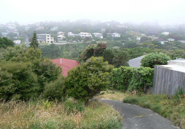 Nouvelle-Zélande - Pukekura Bay