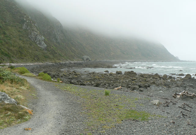 Nouvelle-Zélande - Pukekura Bay