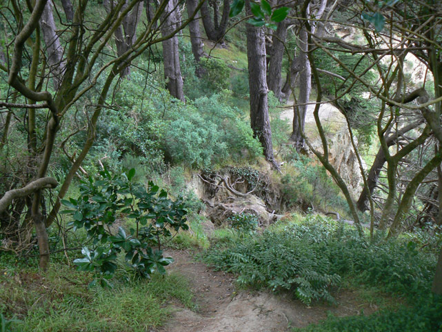 mont victoria, wellington