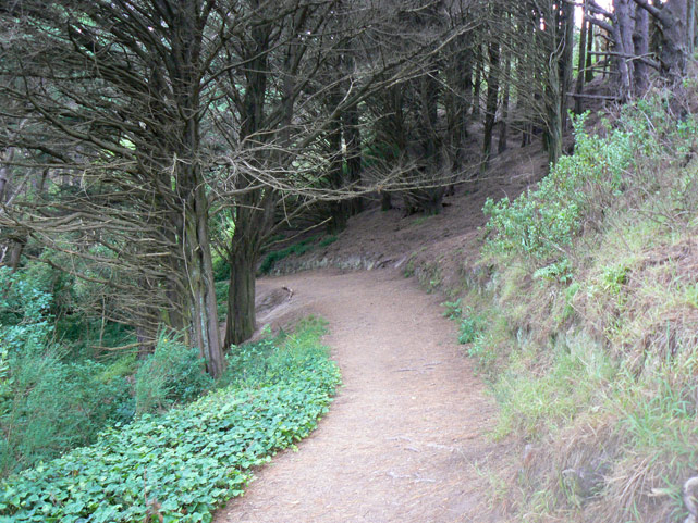 mont victoria, wellington