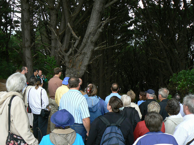 mont victoria, wellington, tourists