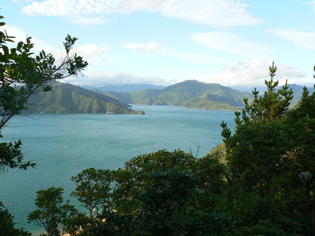 vue des Marlborough Sounds