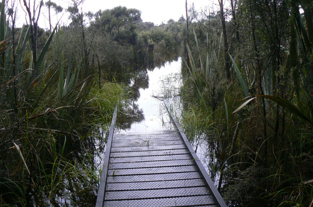 Hapuka Estuary : le chemin de planches s'enfonce sous l'eau