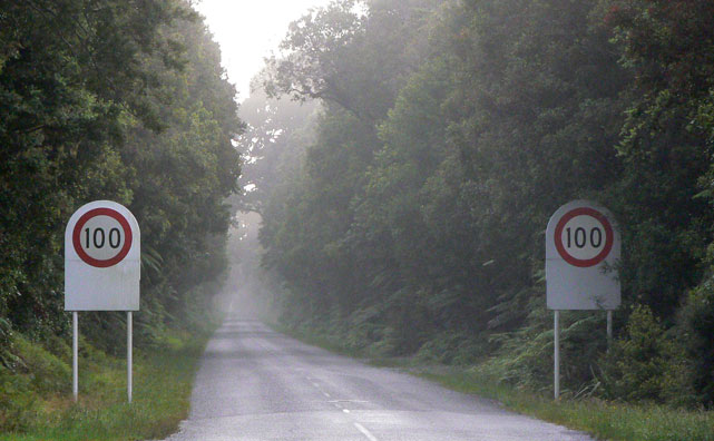 Entrée d'un tunnel d'arbres avec panneau de limitation à 100km/h