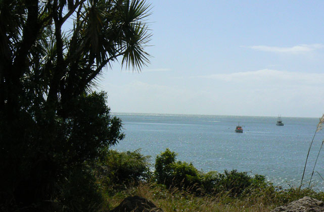 Jackson Bay / Okahu : vue sur l'océan