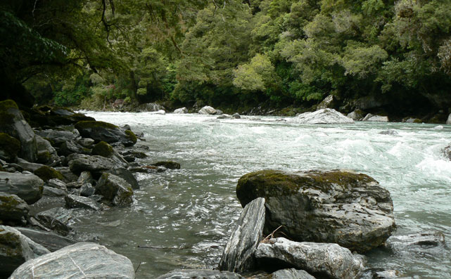 Thunder Creek Falls, Haast River