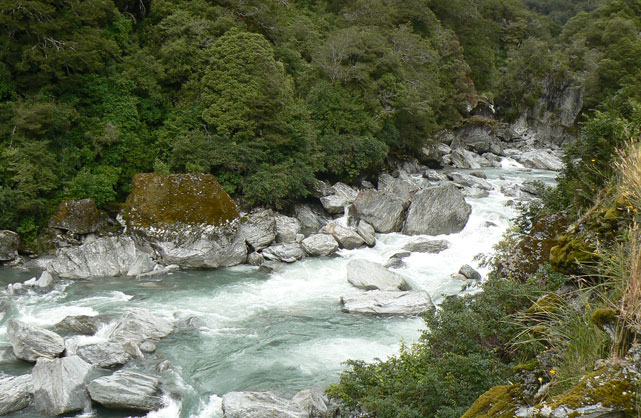 Thunder Creek Falls, Haast River